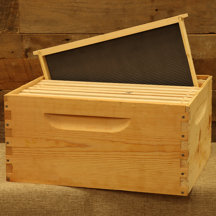 Assembled 9 5/8" Hive Body w/ 10 Frames