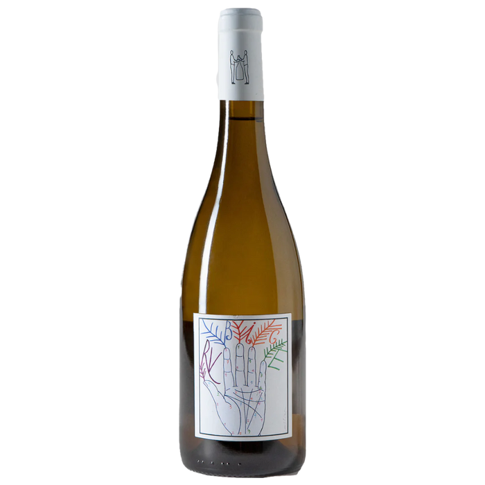 Marco Tinessa wine bottle with white label and colorful line artwork, amber glass.