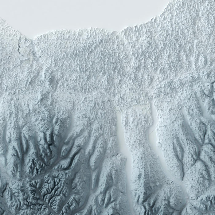 New York Topographic 3D Relief Map