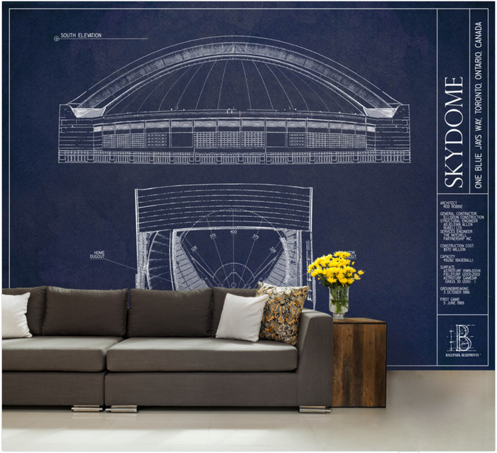 Skydome Wall Mural