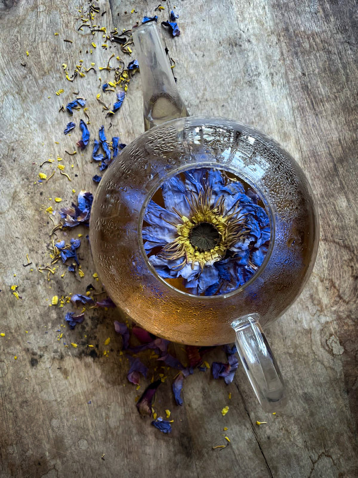 WHOLE BLUE FLOWERS | Blossoms of Intuition*