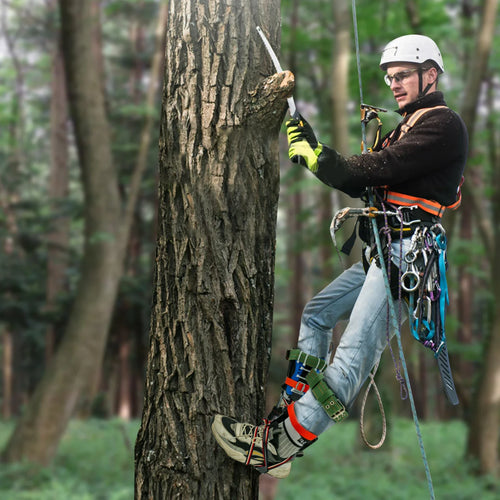 Professional Tree Climbing Gear Kit – 220lb Capacity Carbon Steel, Safety Straps & Pedals for Arborist Work