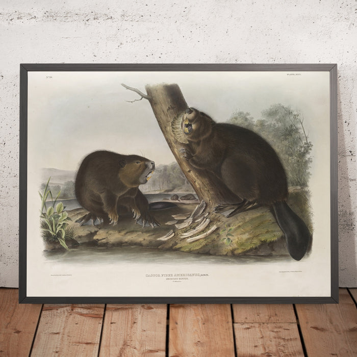 A framed image of