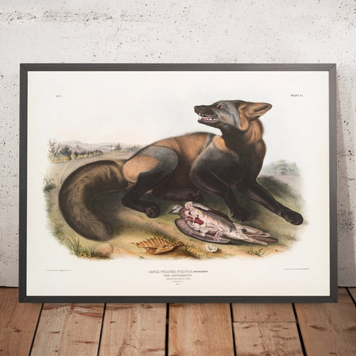 A framed image of