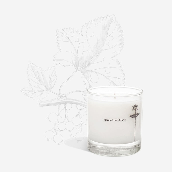 Antidris Cassis Candle
