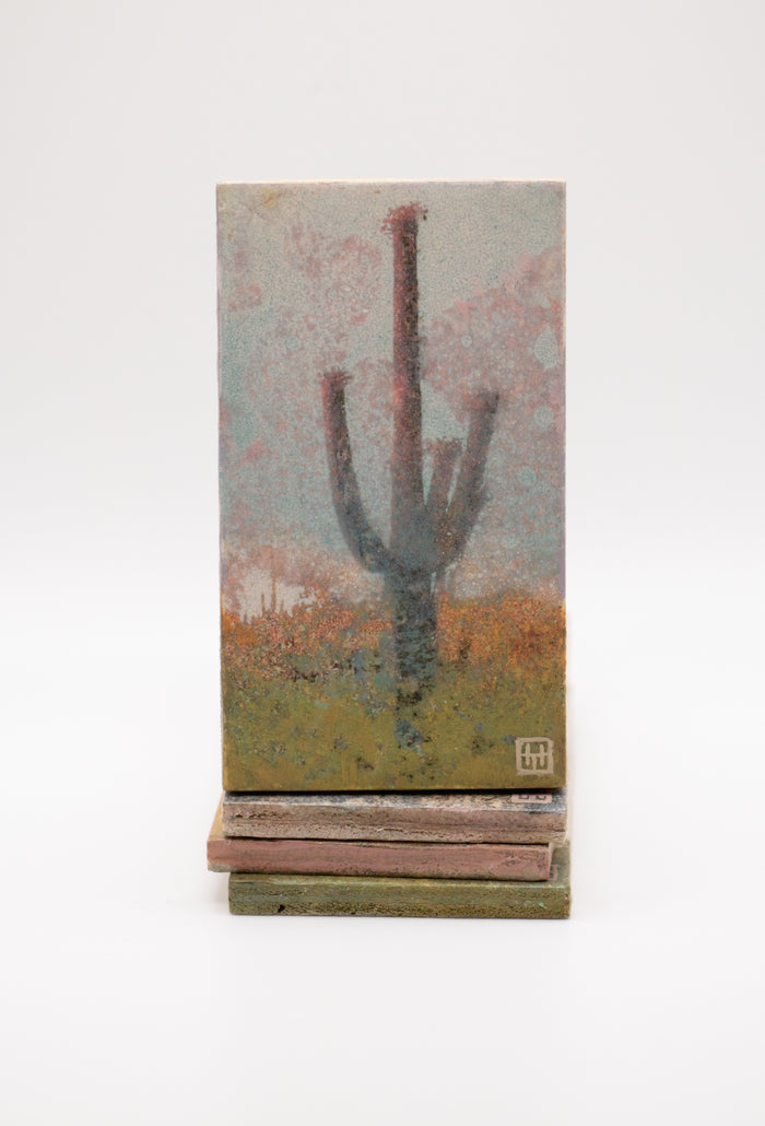 Saguaro Cactus Study #19 (0558)