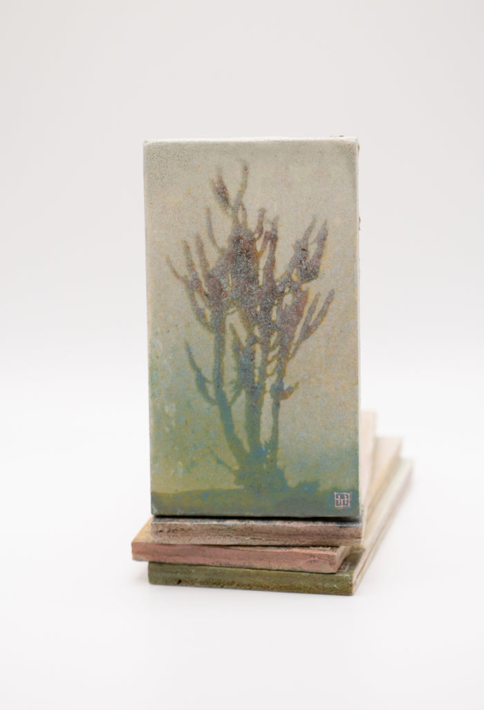 Vicens Cactus (0559)