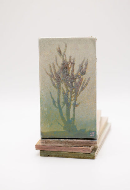Vicens Cactus (0559)