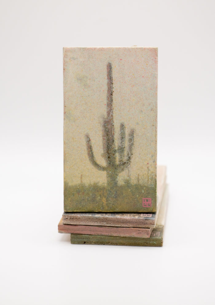 Saguaro Cactus Study #18 (0557)