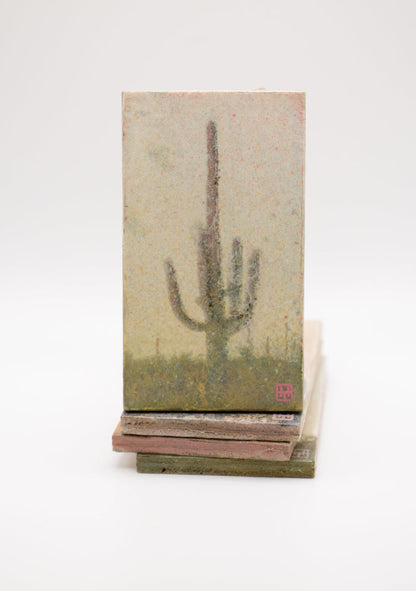 Saguaro Cactus Study #18 (0557)
