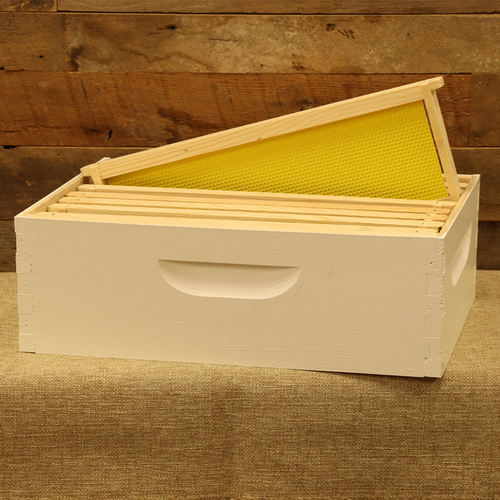 Assembled 6 5/8" Honey Super w/ 8 Frames