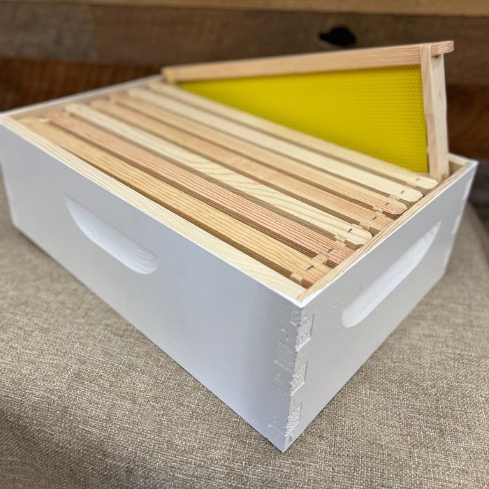 Assembled 6 5/8" Honey Super w/ Frames (Pre-Order)