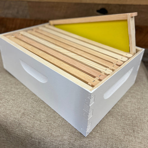 Assembled 6 5/8" Honey Super w/ Frames (Pre-Order)