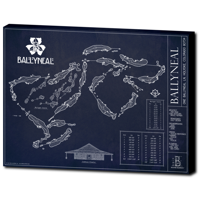 Ballyneal Golf Club