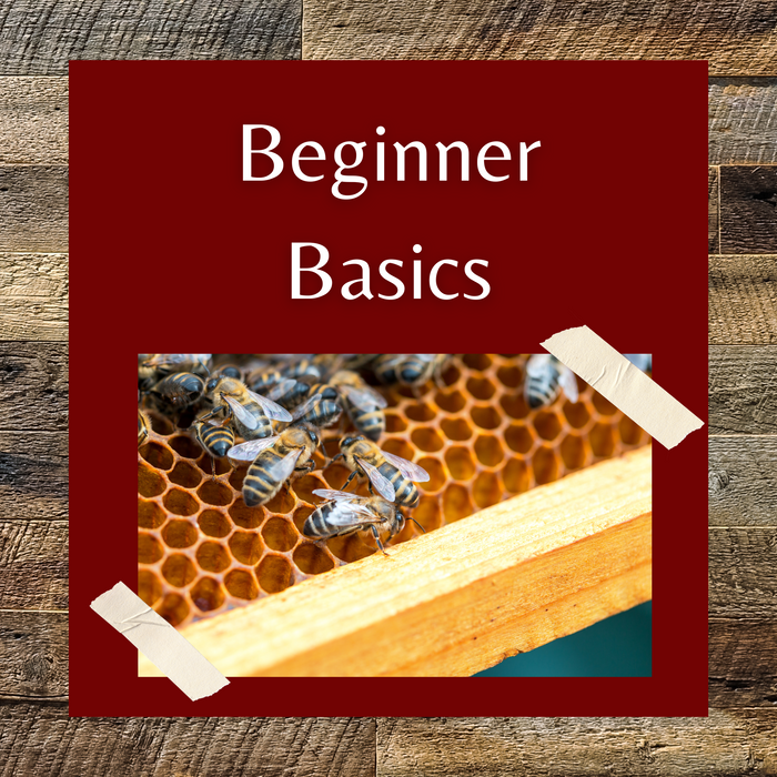 Beginner Basics Class