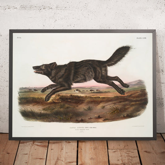 A framed image of