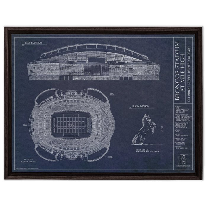 Framed Canvas - Large - Walnut