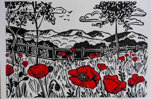 Caren Innes, Alpine Poppies
