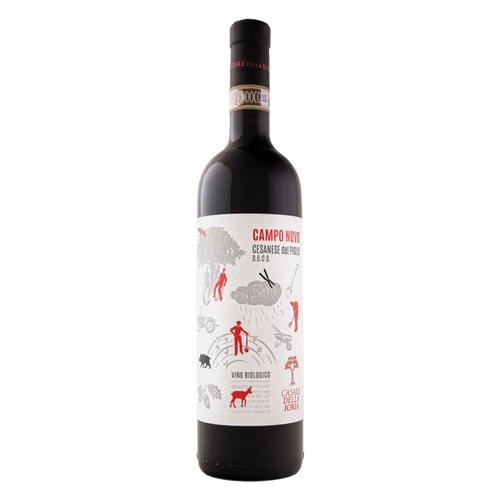 Dark glass Cesanese wine bottle with Campo Novo label, 2020 vintage, cork top