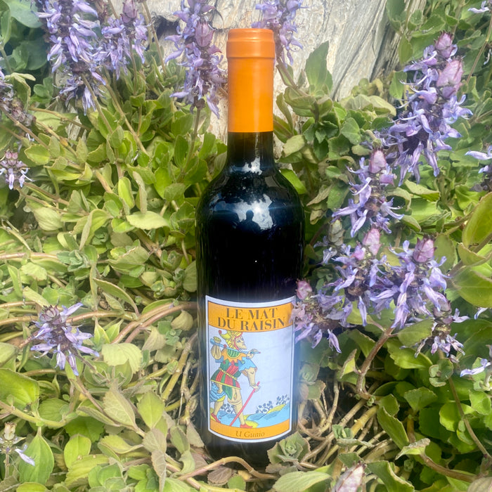 Cascina degli Ulivi red wine bottle with orange cap and colorful label, 2021