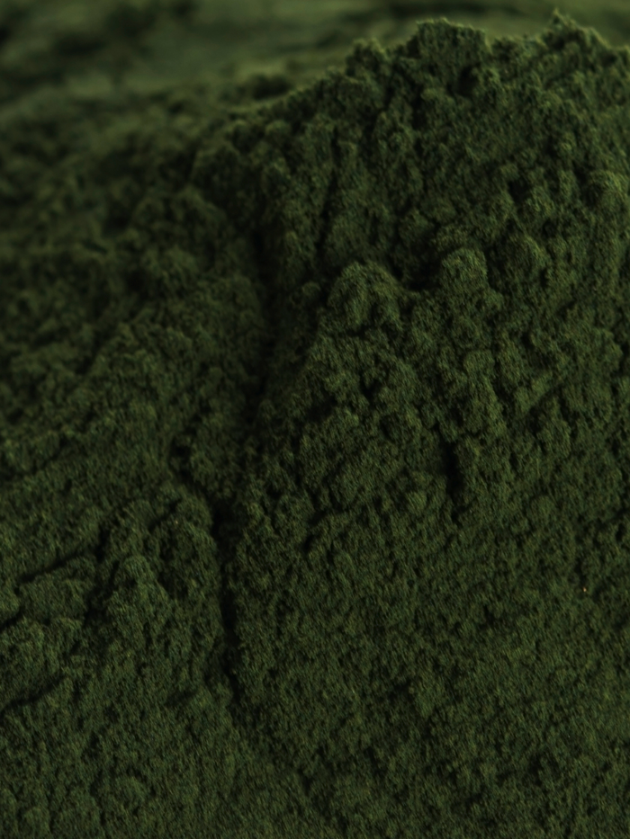 Chlorella, Organic 4 oz BULK BAG