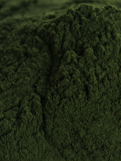 Chlorella, Organic 4 oz BULK BAG