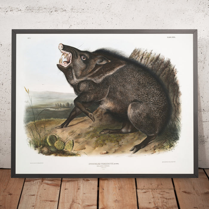 A framed image of