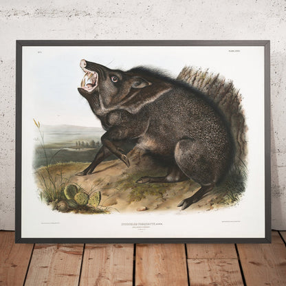 A framed image of
