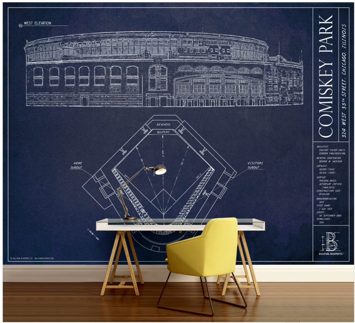 Comiskey Park Wall Mural