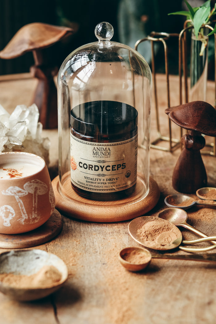 CORDYCEPS | Organic Mushroom Powder, Energy Vitality Tonic*
