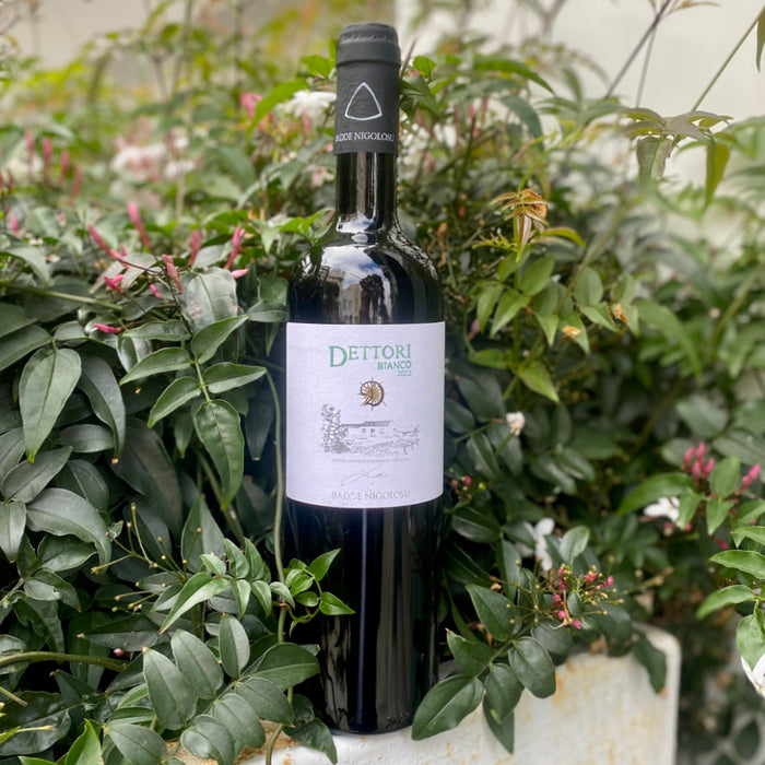 Dettori Bianco 2022 wine bottle with white label on dark glass
