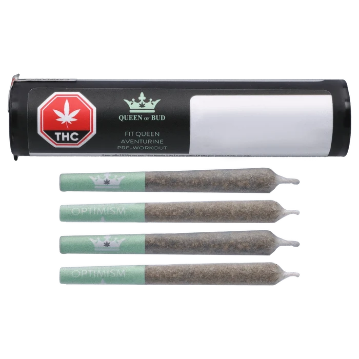 Top-down view of the Fit Queen Aventurine Pre-Workout Infused PR 4 x 0.5 g tube with four green‑banded pre-rolls aligned beneath.