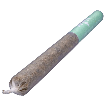 A close-up, angled view of the Fit Queen Aventurine Pre-Workout Infused PR, a small, pale green, cylindrical form.