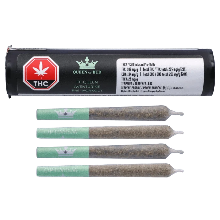 Top-down studio shot of the Fit Queen Aventurine Pre-Workout Infused PR 4 x 0.5 g tube with four green-filtered pre-rolls aligned below.