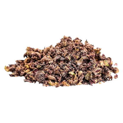 A close-up view of the Fun Trip, showcasing a textured, dark-colored substance against a plain white background.