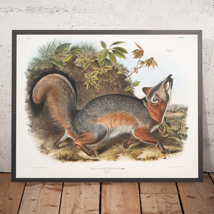 A framed image of