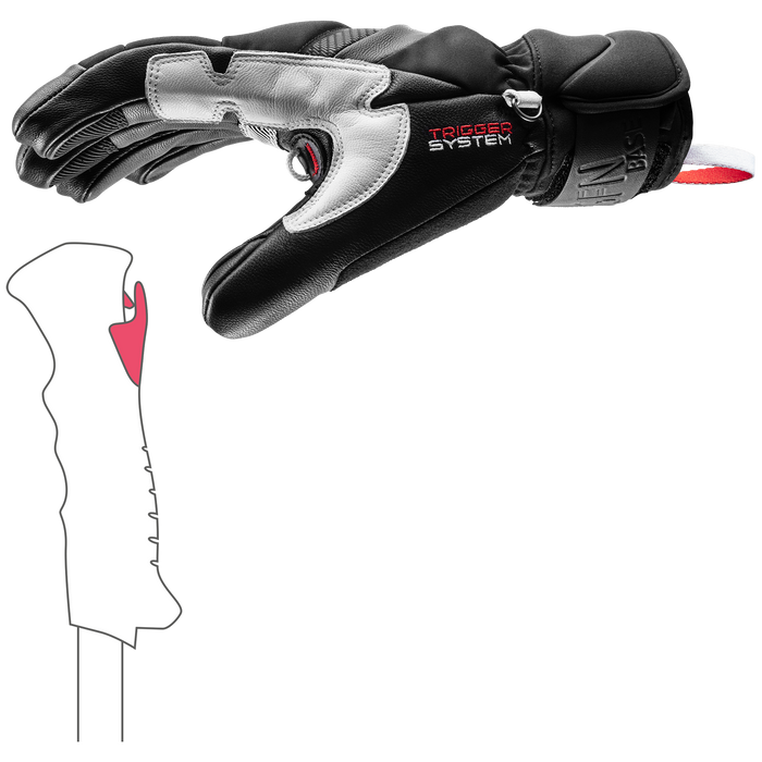 GRIFFIN BASE 3D