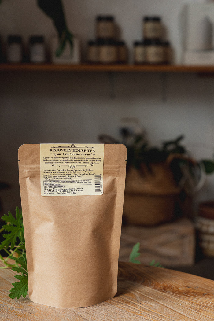 GUT SWEEP | Intestinal Love, Parasite Support Tea