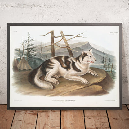 A framed image of
