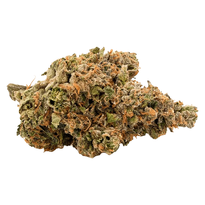 Close-up of the Heavy Hitter, displaying a textured, organic surface against a plain white backdrop.