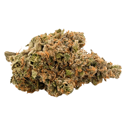 Close-up of the Heavy Hitter, displaying a textured, organic surface against a plain white backdrop.