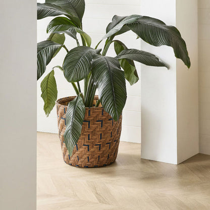 lifestyle_insitu: