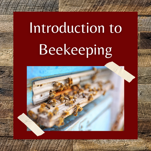 Introduction to Beekeeping Class