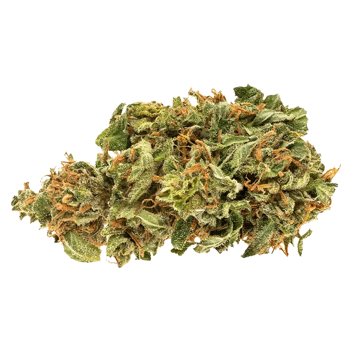 Close-up of a frosty green and orange bud of Jean Guy shown against a plain white background.