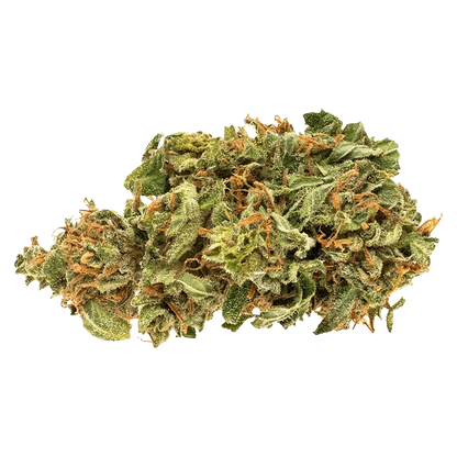 Close-up of a frosty green and orange bud of Jean Guy shown against a plain white background.