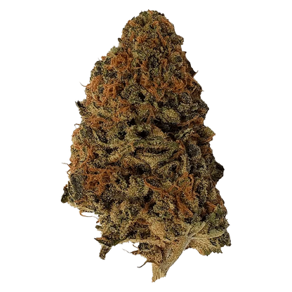 Close-up of the Kush Dreams, showcasing detailed texture and lighting on the product’s surface.