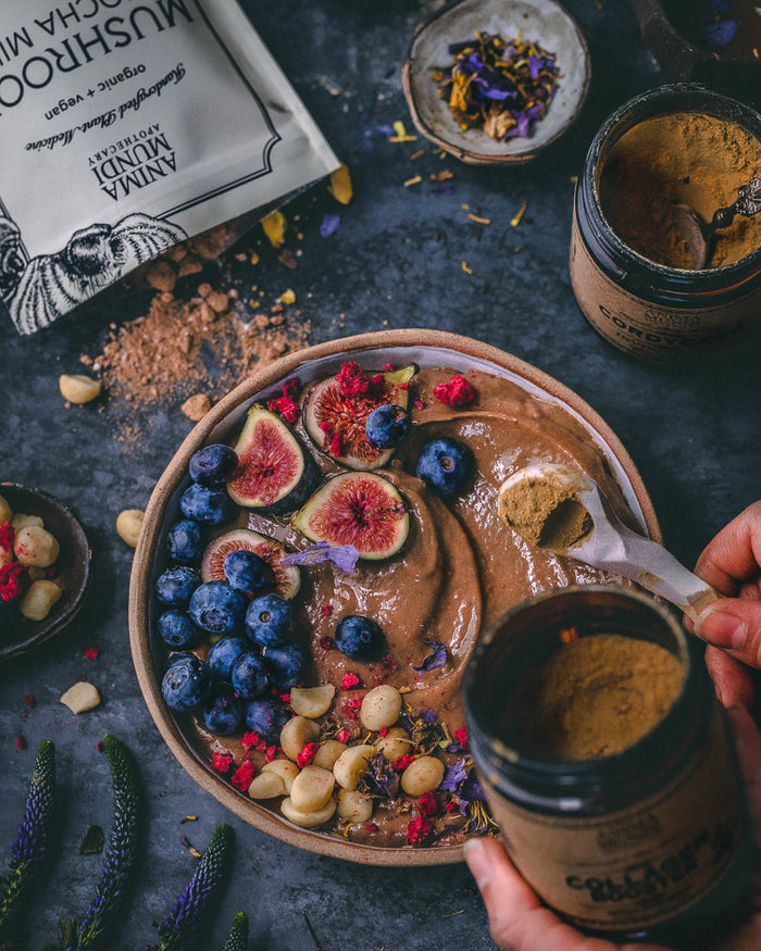 MUSHROOM MOCHA MILK | Adaptogenic Creamer*