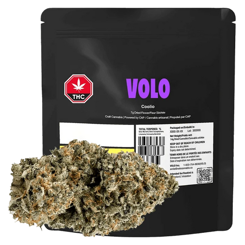 Volo Orange Turp packaging features bold typography and cannabis leaf graphics against a dark backdrop.