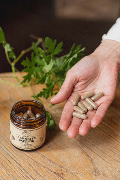 PARA-HERB DEFENSE Capsules | Protects + Supports Gut Health*