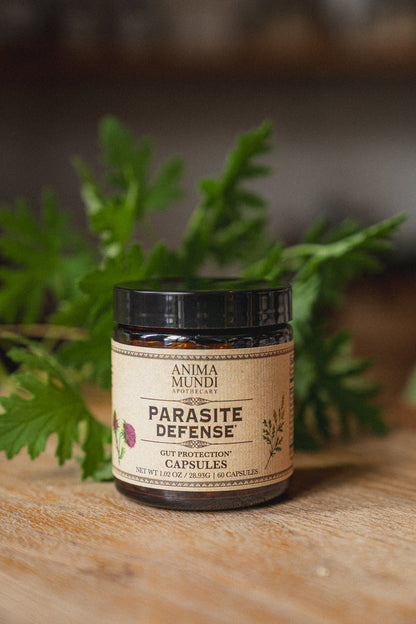 PARA-HERB DEFENSE Capsules | Protects + Supports Gut Health*